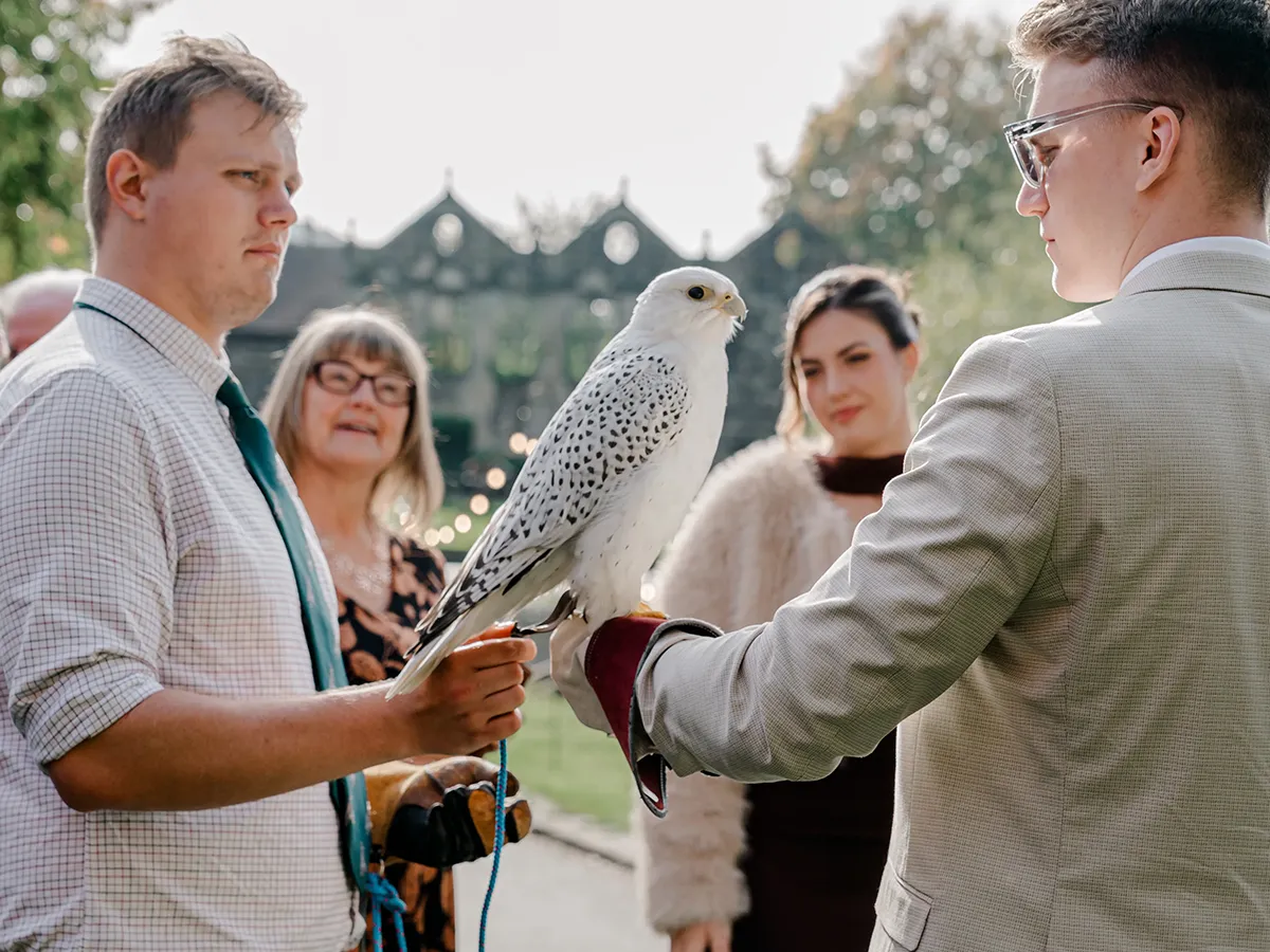 Wedding guests holding a hawk during the drinks reception - photo by Tigra Woods Photography